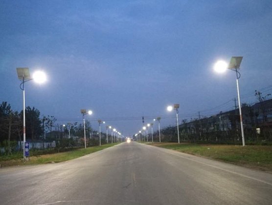 定遠縣范崗村項目