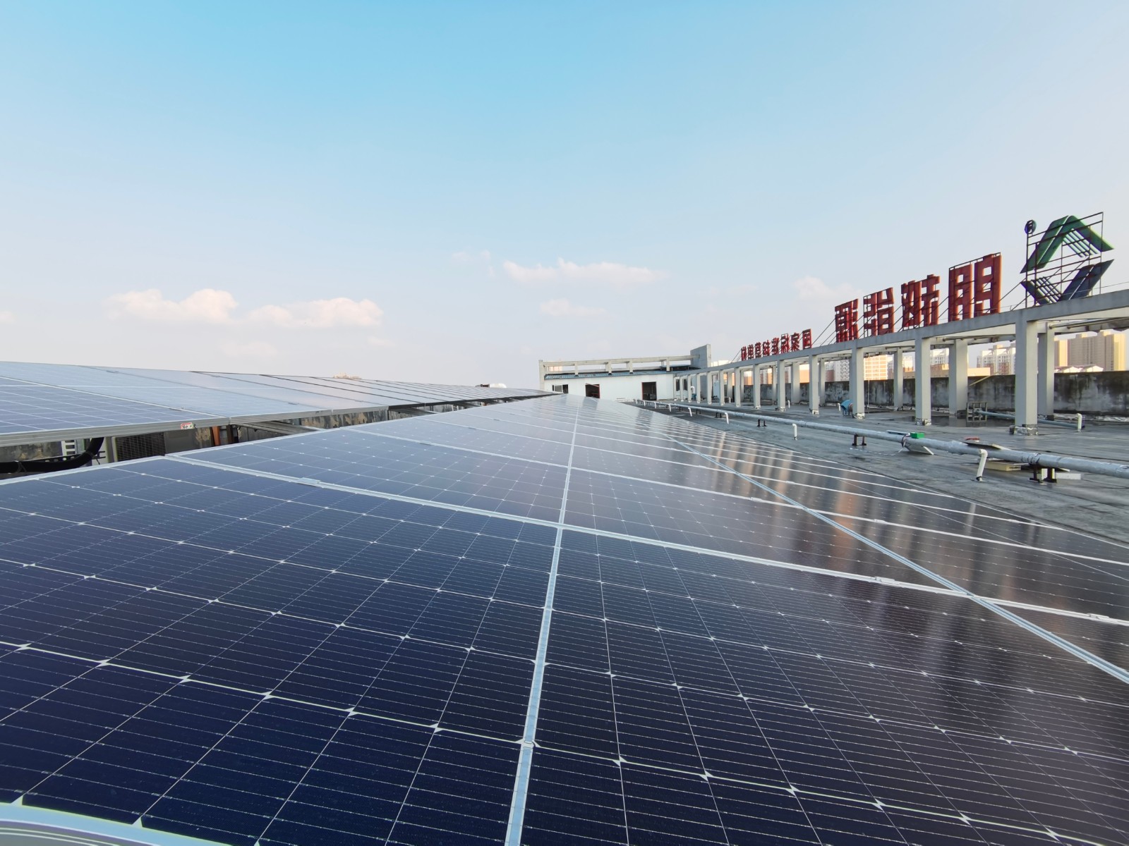 16708141679056.jpg 7.jpg